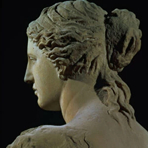 Venus de Milo, detail of the back of the head, Hellenistic period, c