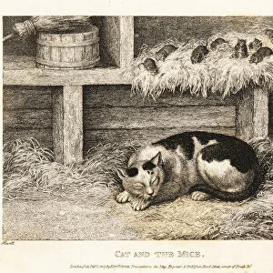 Wary mice above a cat pretending to sleep. 1811 (etching)