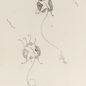 Two Whister Butterflies, c. 1890 (pencil on paper)