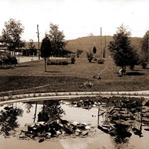 Lily pond, Mountain Park, Mt. Tom, Mass, Parks, Lily ponds, United States, Massachusetts