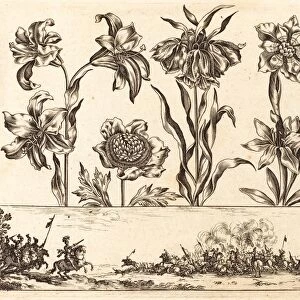 Nicolas Cochin after Balthasar Moncornet (French, 1610 - 1686), Flower Print no. 8