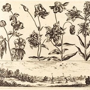 Nicolas Cochin after Balthasar Moncornet (French, 1610 - 1686), Flower Print no. 6