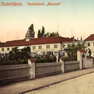 Sektkellerei Bussard 1903 Landkreis MeiBen