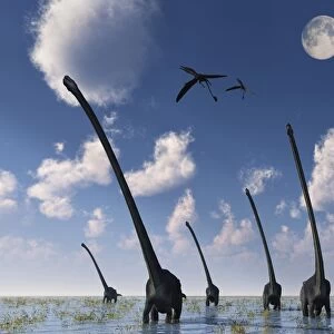 A herd of Omeisaurus dinosaurs on the move