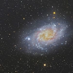 The Triangulum Galaxy, also known as Messier 33