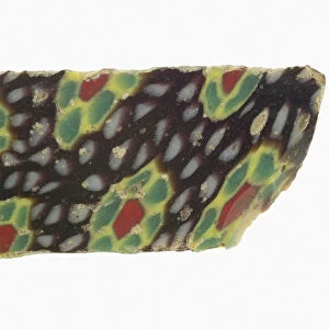 Fragment of a Wall Revetment, 1st century BCE-1st century CE. Creator: Unknown
