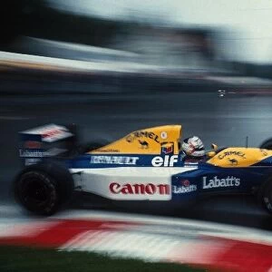 Formula One World Championship: Nigel Mansell Williams FW14B, 2nd place