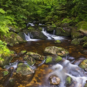 Mountain stream after rain at Kleine Ohe at Waldhauser in the Bavarian Forest National Park in Bavaria, Germany