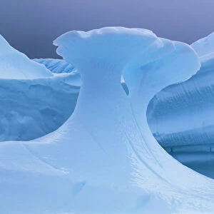 A sculpted blue iceberg off of Cuverville Island