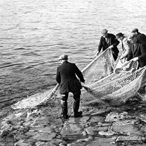 Fishermen on the River Tweed in Berwick hauling their net ashore after trying to catch