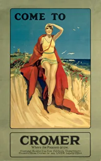 Norfolk Prints: Norfolk