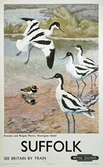 Suffolk, BR poster, c 1950s suffolk br poster c 1950s